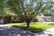 Lower Greenlaw
